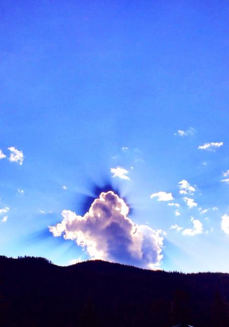 Nature is amazing